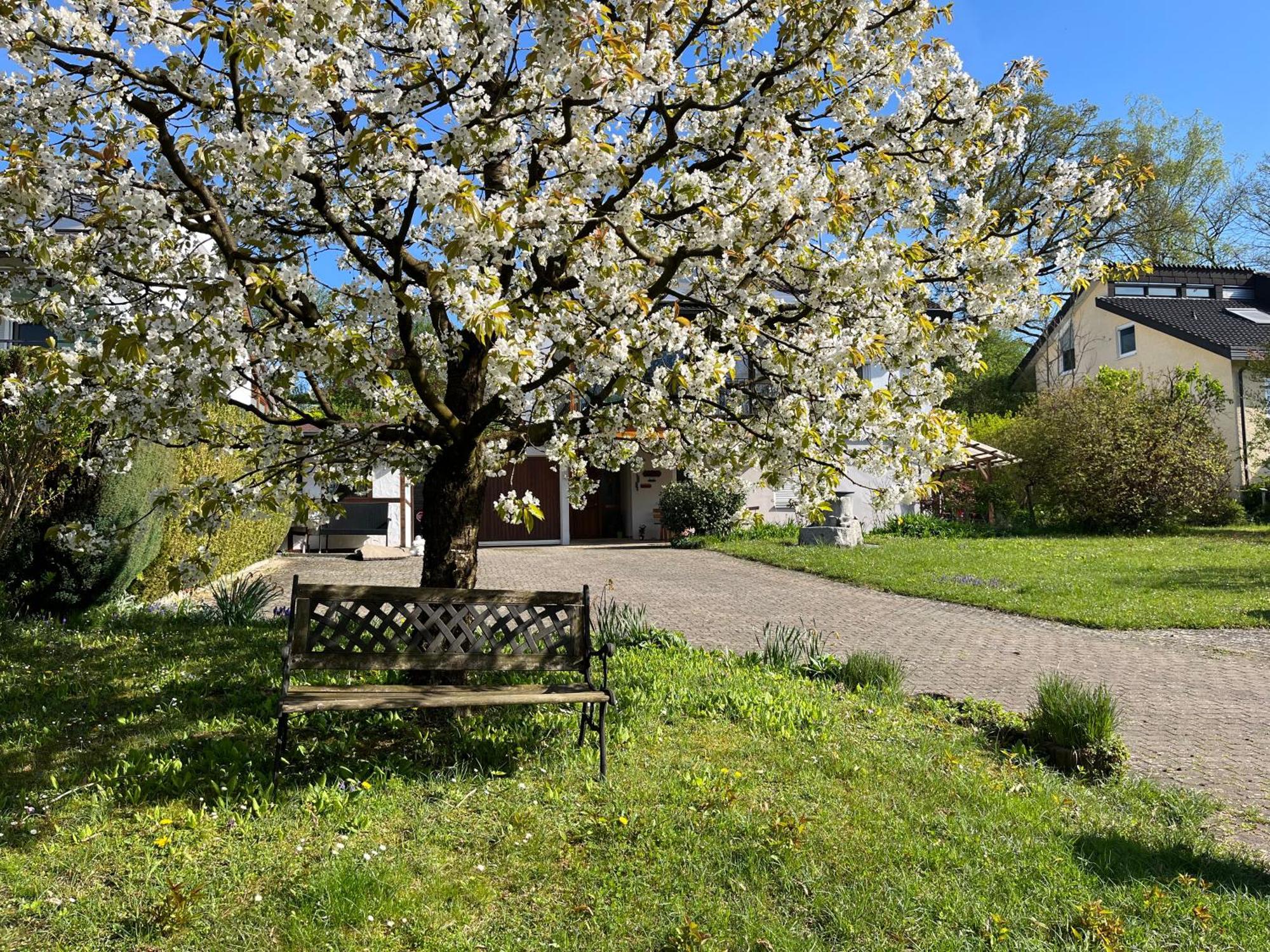 Ferienwohnung Am Kirschbaum Uhldingen-Muehlhofen Exterior photo
